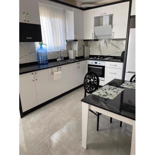 Brand new, large apartment near the sea in Side