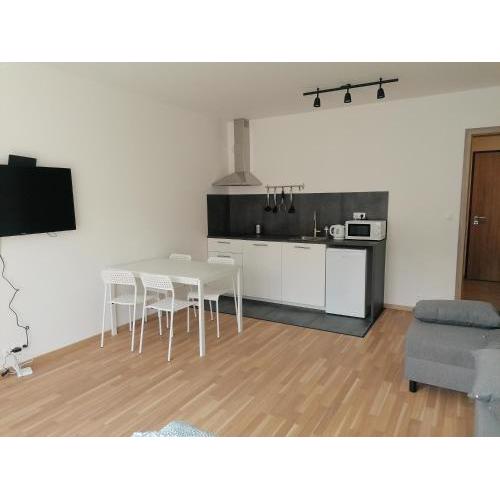 Brand new studio apartment #21 with free secure parking in the center