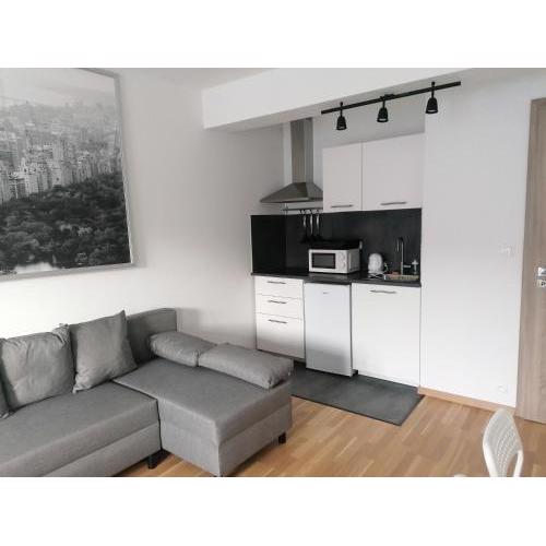 Brand new studio apartment # 45 with free parking in the city center