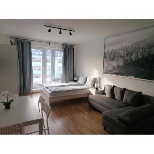 Brand new studio apartment #71 with free secure parking in the center