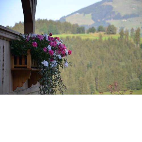 Brandhof