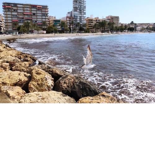 Bright apartment en Santa Pola