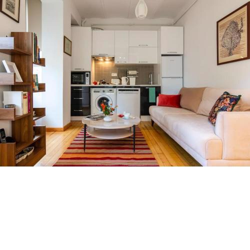Bright Newly Renovated Apartment in the Heart of Galata
