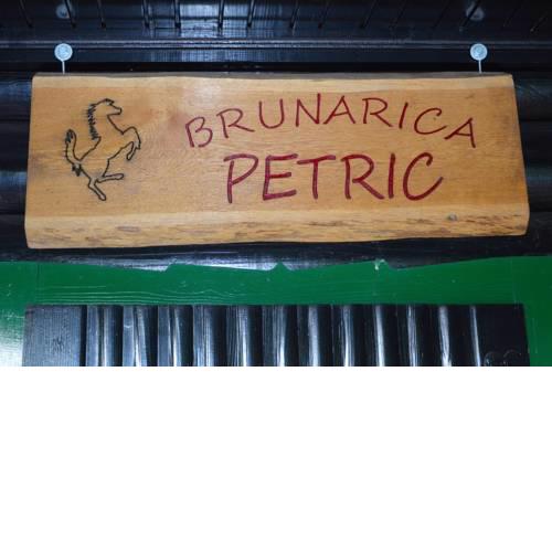 Brunarica Petric