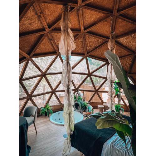 Bubble Suites