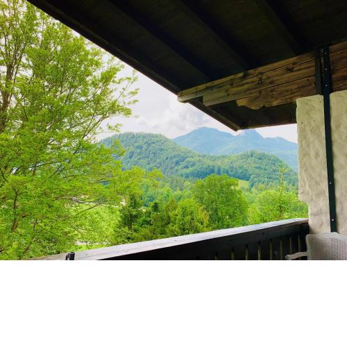 Buchenblick
