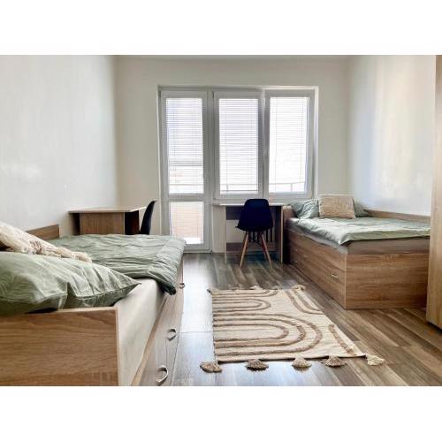 BUDDHA City Center Apartments
