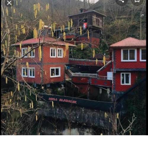 Bulako triplex