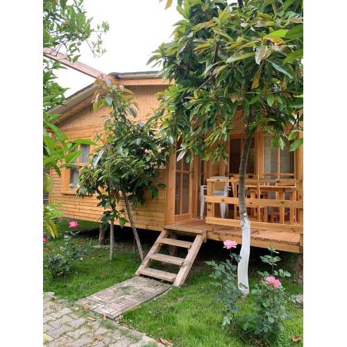BUNGALOV