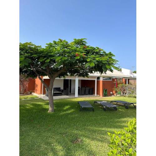 Bungalow Los Melocotones in Maspalomas - Playa del Ingles