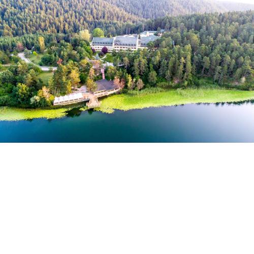 Buyuk Abant Hotel