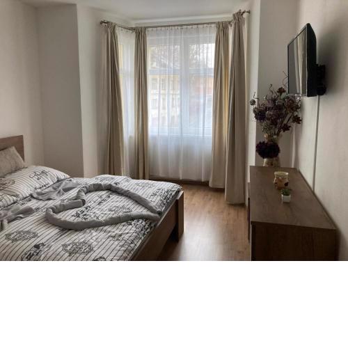 Bytový apartmán - Vejprty