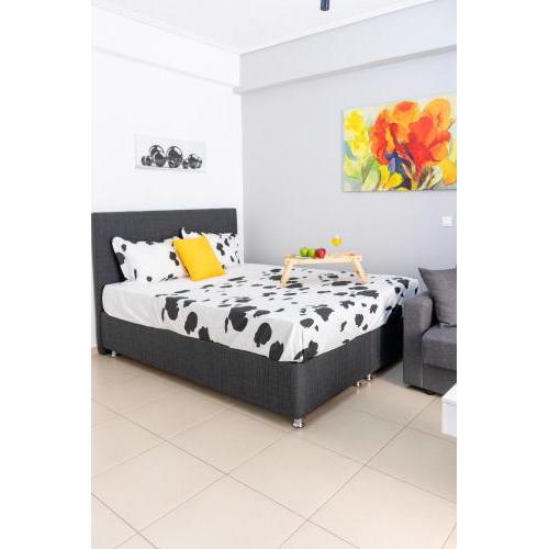 C3 Modern Spartan Apartment