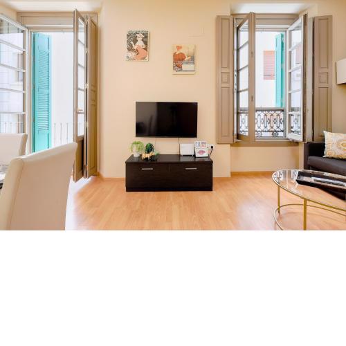 C40 Perfect Apartment in the center of Malaga
