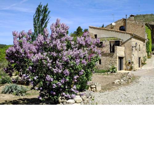Ca L'Olier