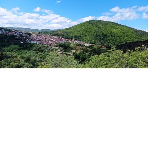 Ca tío Celso