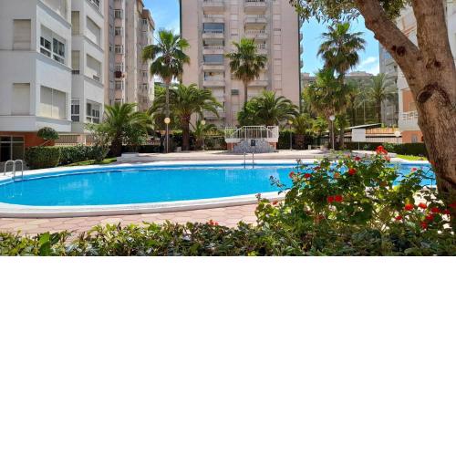 Caballito de mar, parking, AC y fibra VT-52619-V