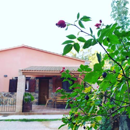Cabañas Rural Arco Iris