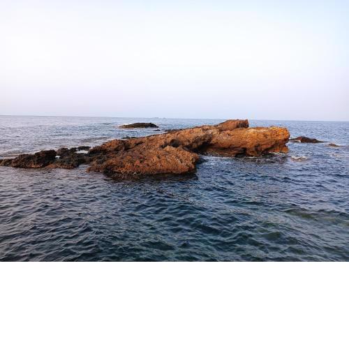 Cabo de Palos VVMU 4780-1