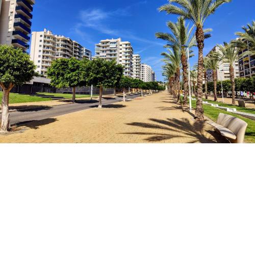 CALA ALTA sun&beach apartaments