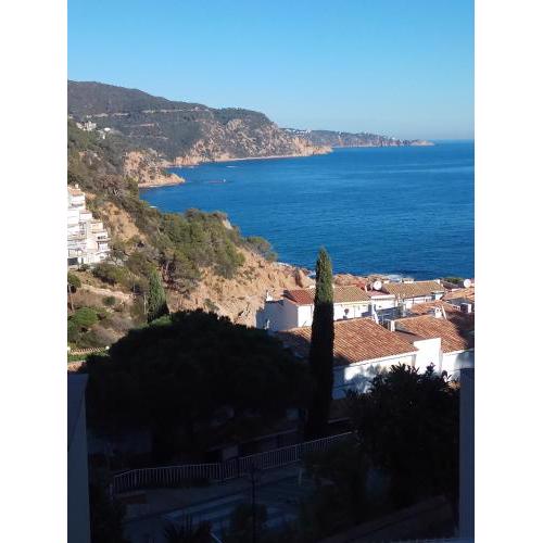 Cala Salions, Chalana I
