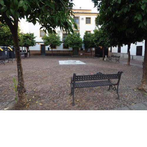 CALLE ABEJAR,PLAZA