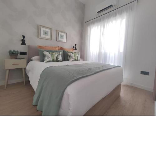 Calm & Design Suite
