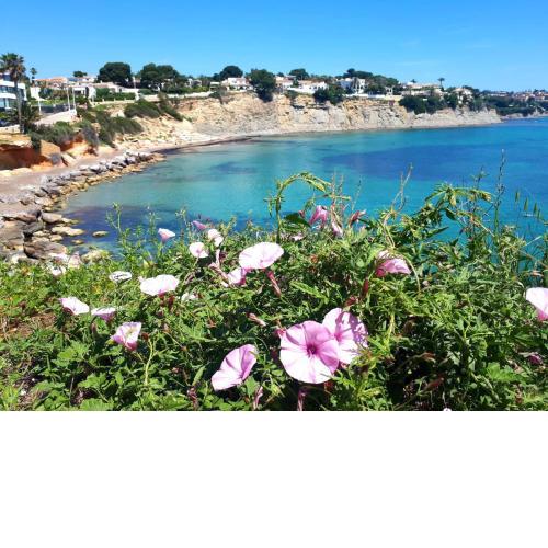 Calpe Place con vistas frontales al m4r Mediterr4neo2
