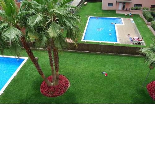Camelia Apartment