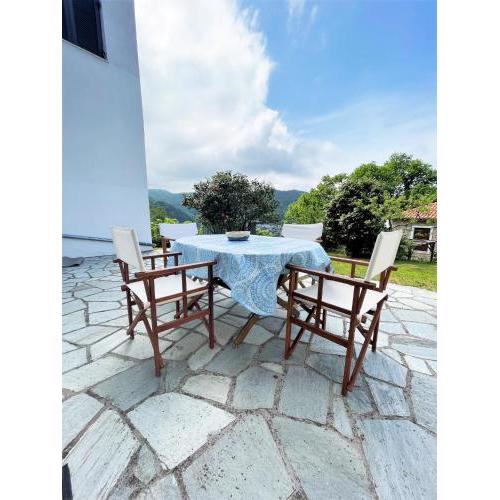Camellia Guesthouse