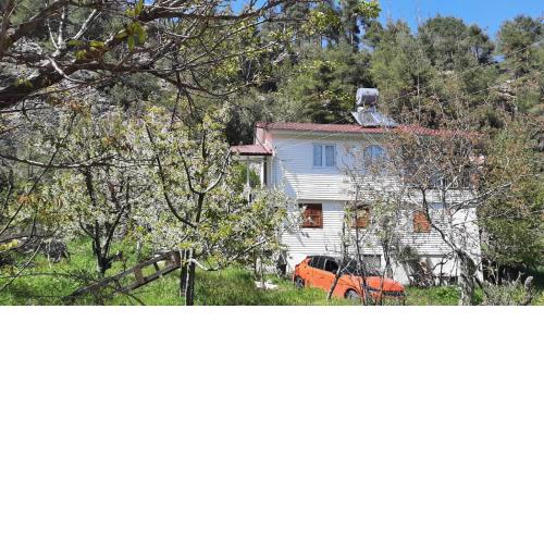 Çamlıyayla müstakil bahçeli dağ evi