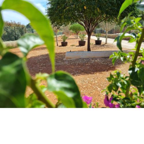 CAMPING BENIGEMBLA