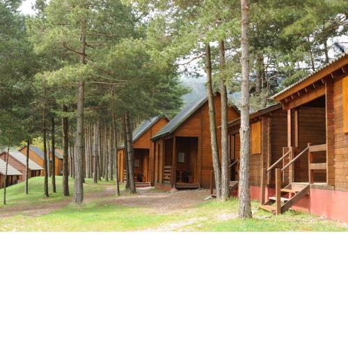 Camping Fontfreda