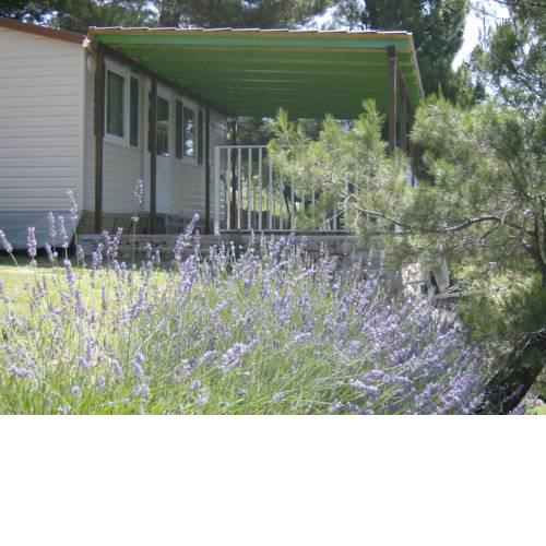Camping PINUS