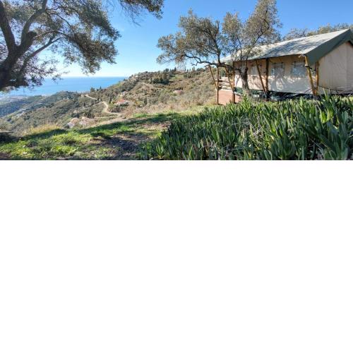 Campo Agave Luxury Tents