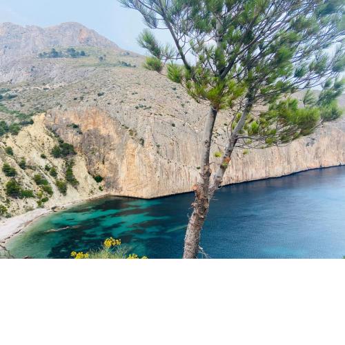 Can Luc Altea