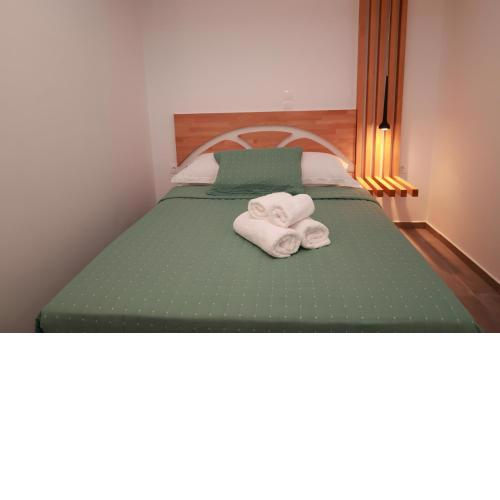 Cane’s Family Guest House