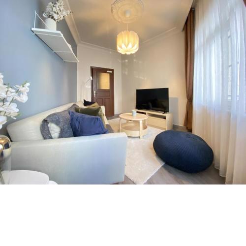 Capacious Flat Near Taksim Square in Beyoglu
