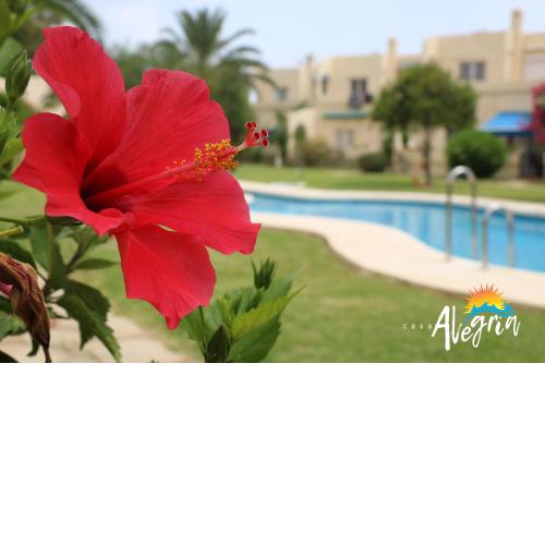 Captivating 2-Bed Beachside Apartment in Mojacar