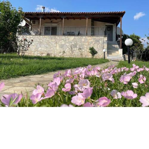 Carefree Dreams : Cottage in Flogita Chalkidiki