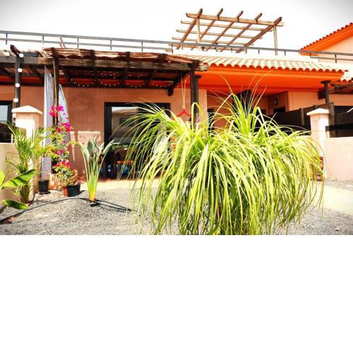Casa 861 en Origo Mare