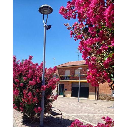 CASA ABUELA