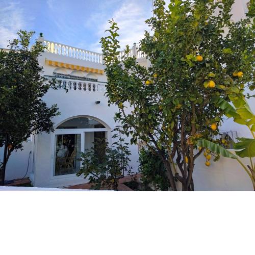 Casa Alina