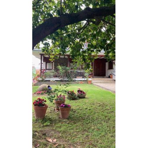 Casa Amparito