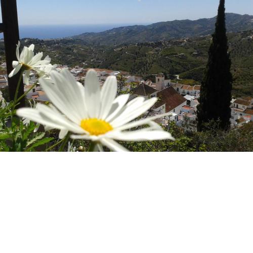 Casa Ana, Fantásticas vistas a Frigiliana, el mar y la montaña
