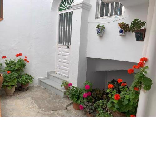 Casa Ana