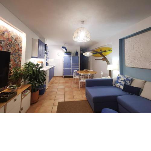 Casa blue fish