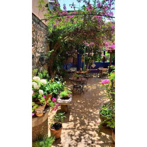 Casa Bougainvillea