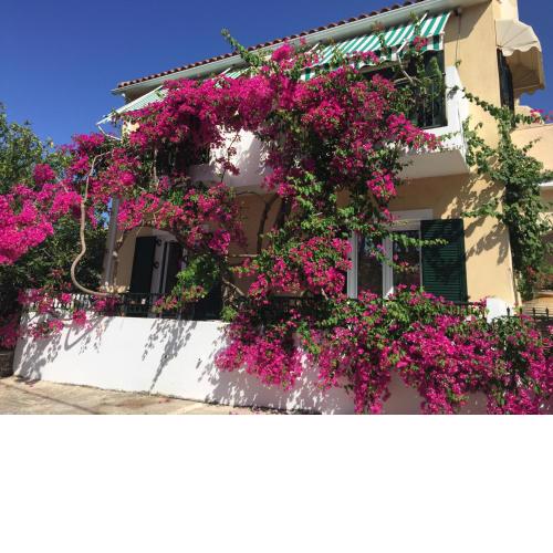 Casa Buganvilla