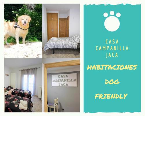Casa Campanilla Jaca